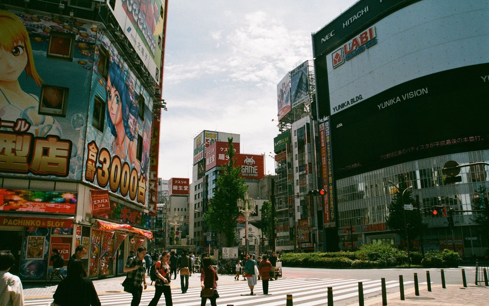 Japan Sakura Tour: Tokyo, Fuji & Kyoto 2