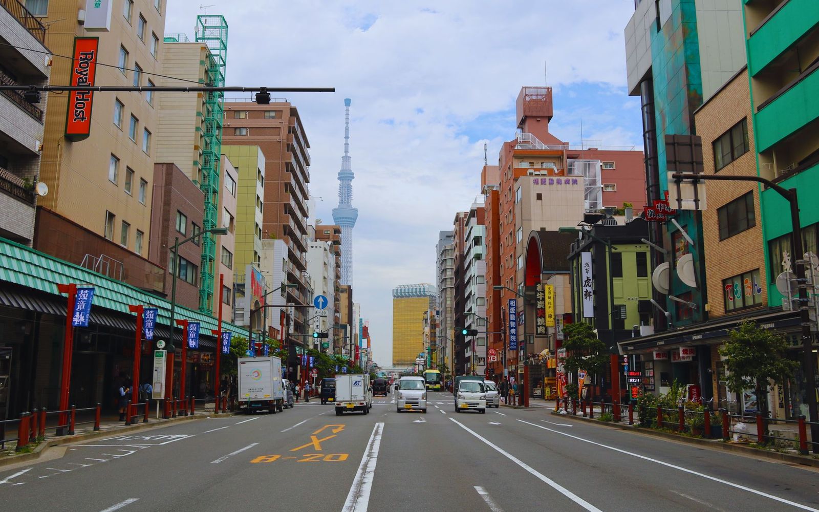 Japan Sakura Tour: Tokyo, Fuji & Kyoto 3